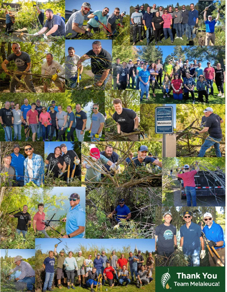 pictures of many melaleuca employees improving their local community 