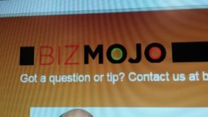 BizMojoIdaho.com on Melaleuca