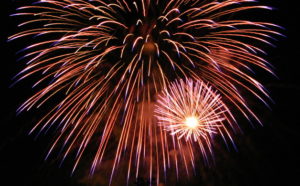 Melaleuca Fireworks