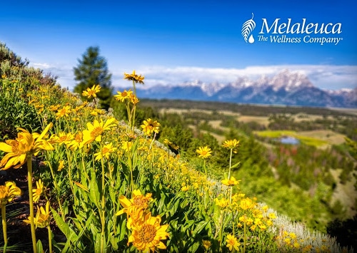 From production to delivery, Melaleuca looks after environment